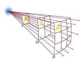 <p>Experimental investigation: Light intensity</p>